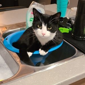 Meet your Posher, Camille